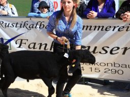 2019_ausstellung polling_391